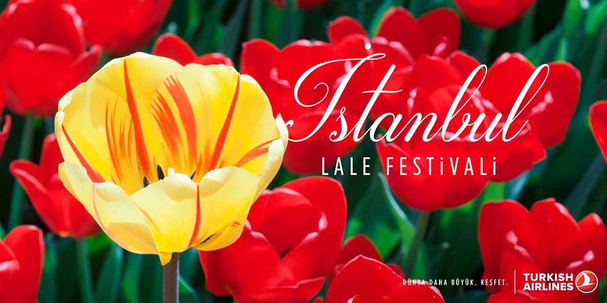 Türk Hava Yolları tweet media