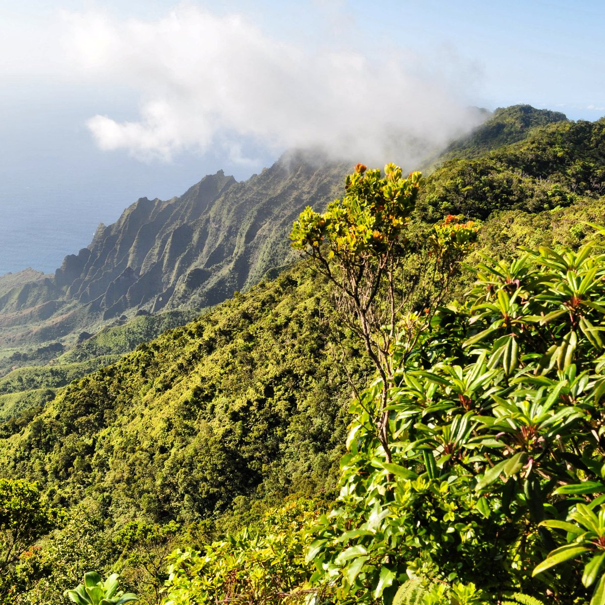 Everything is connected from the mountain to the ocean.  Kalalau,  Kauai