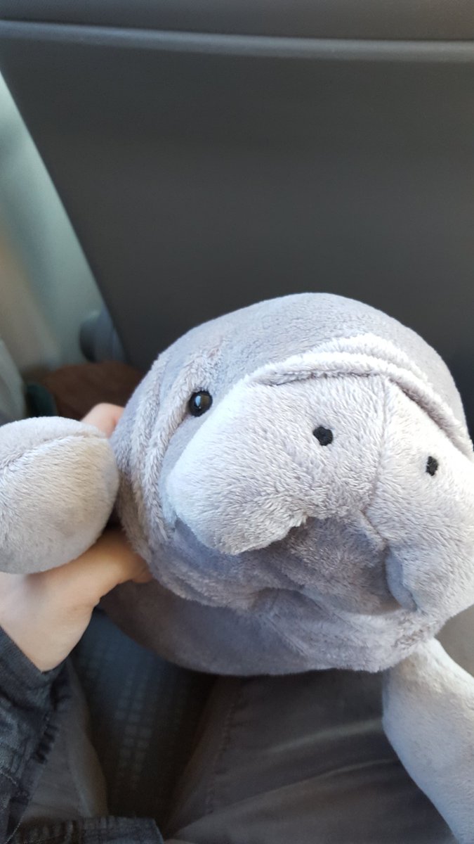 InstantClear's tweet image. I made a friend today!