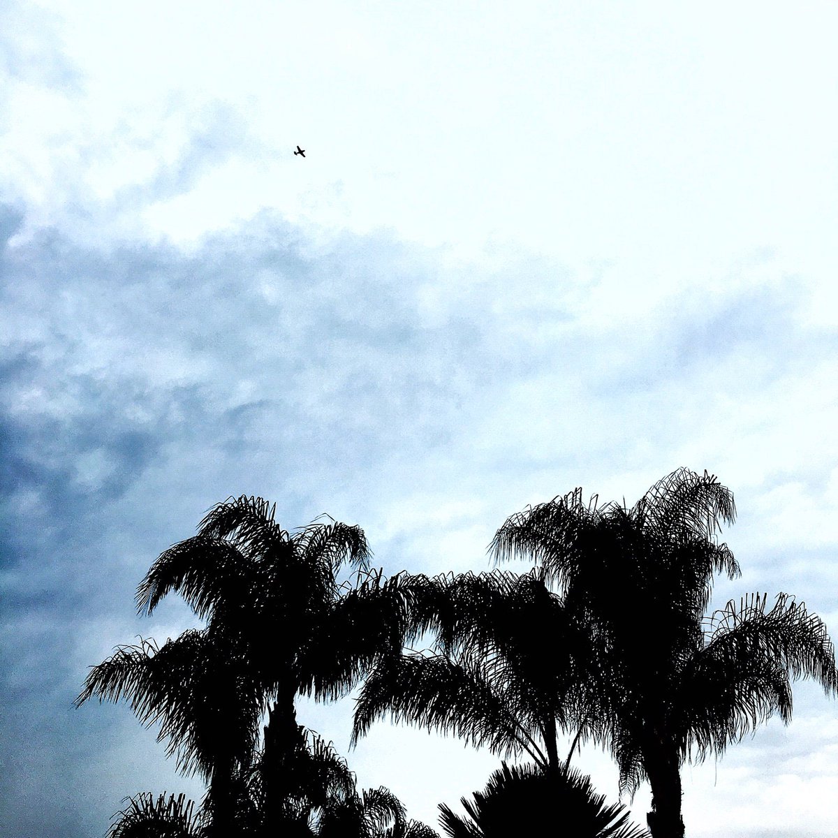TakenByDestiny's tweet photo. There's always a reason to look up. ☝🏽️

H e i g h t s O f G l o r y https://t.co/w4JBcUJ34V