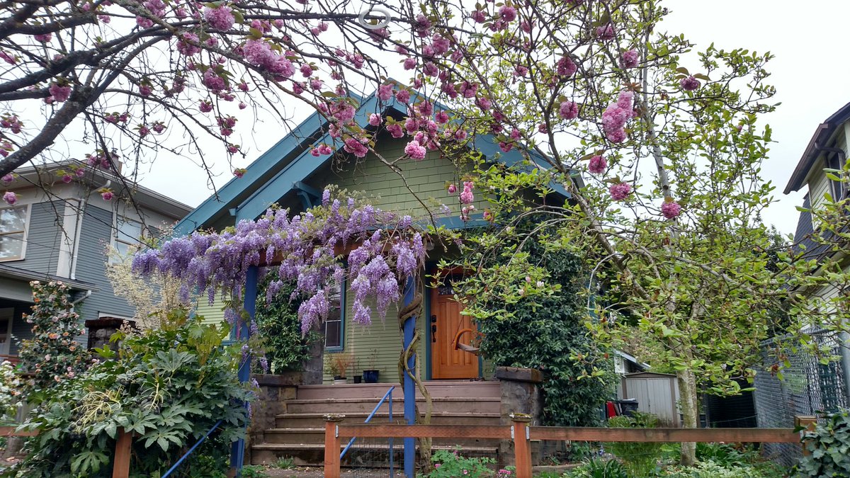 SteveGaynorPDX's tweet photo. this house pretty. #SpringtimePDX https://t.co/hVpGpom2RH
