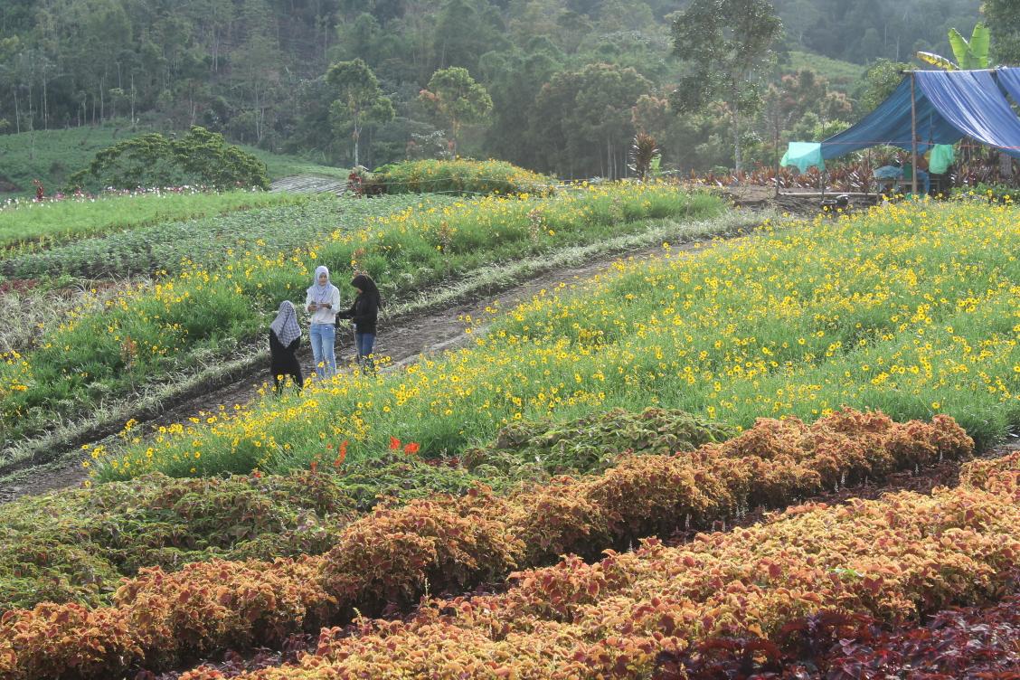 Hesti's garden.
Yes,,