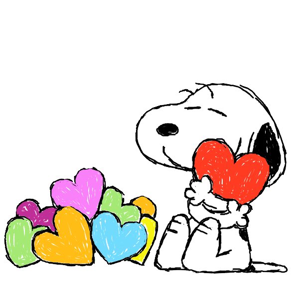 ソース画像を表示