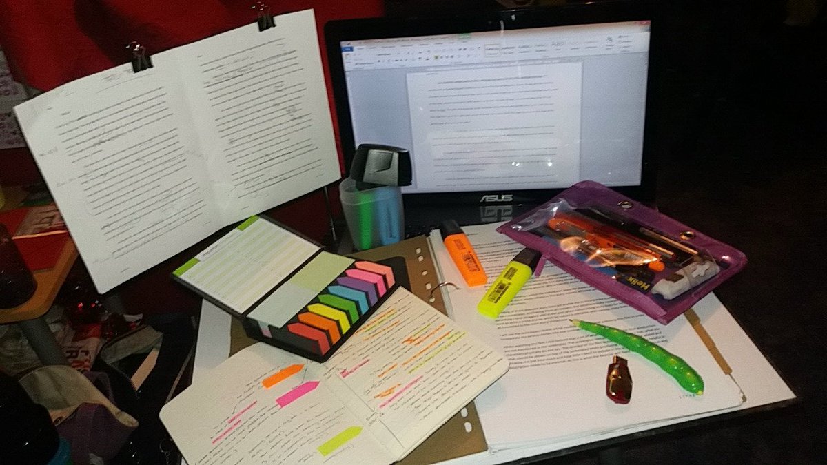 shellbeefly's tweet image. Doing study things