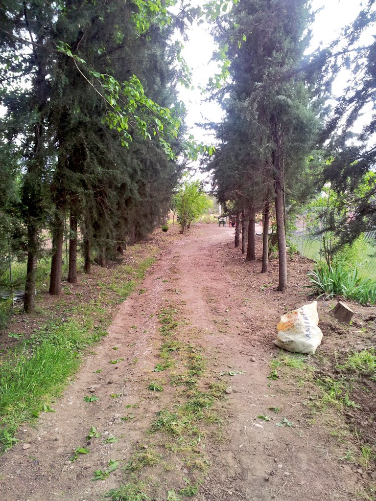arzu_kizim's tweet photo. #antalya da cakirlarda olmak büyük ayricalik. https://t.co/T9QVgfhruZ