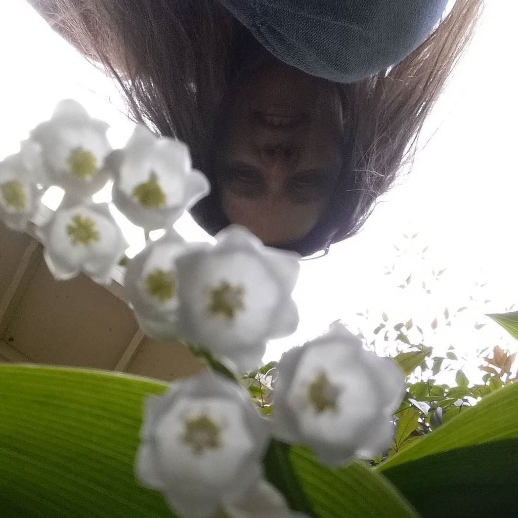 apaperaddict's tweet photo. #goodmorningspring #goodmorninglittleflowers #goodmorninghappiness https://t.co/STXPJfaEny