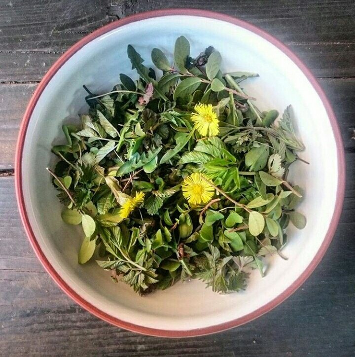 Pļava šķīvī 
#wildfood #DABASgarša