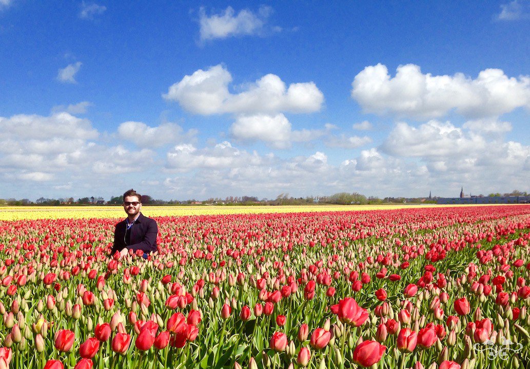Great reading for the #weekend. All about beautiful #tulips in #belgravia ow.ly/10tI8j