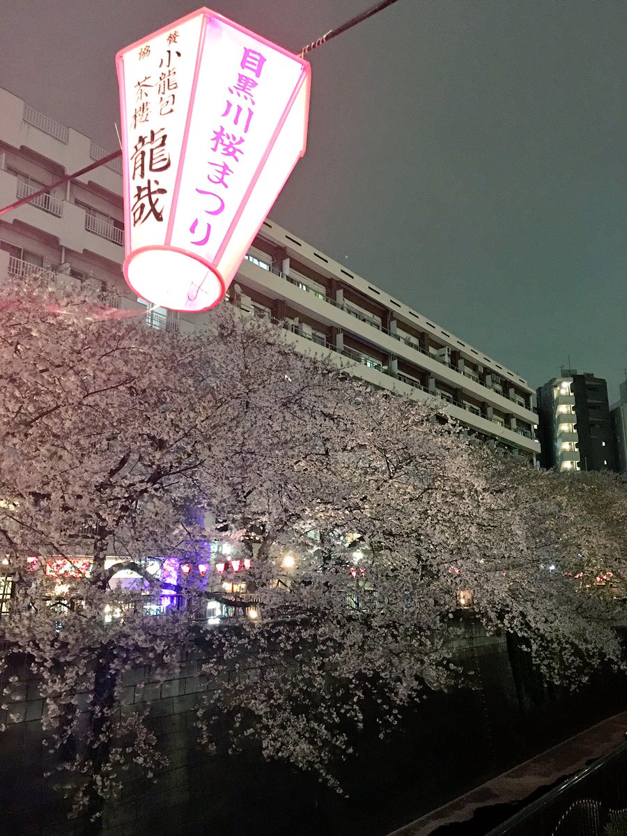 19年版 中目黒で花見酒 目黒川沿いの桜が見えるレストラン6選 Favy ファビー