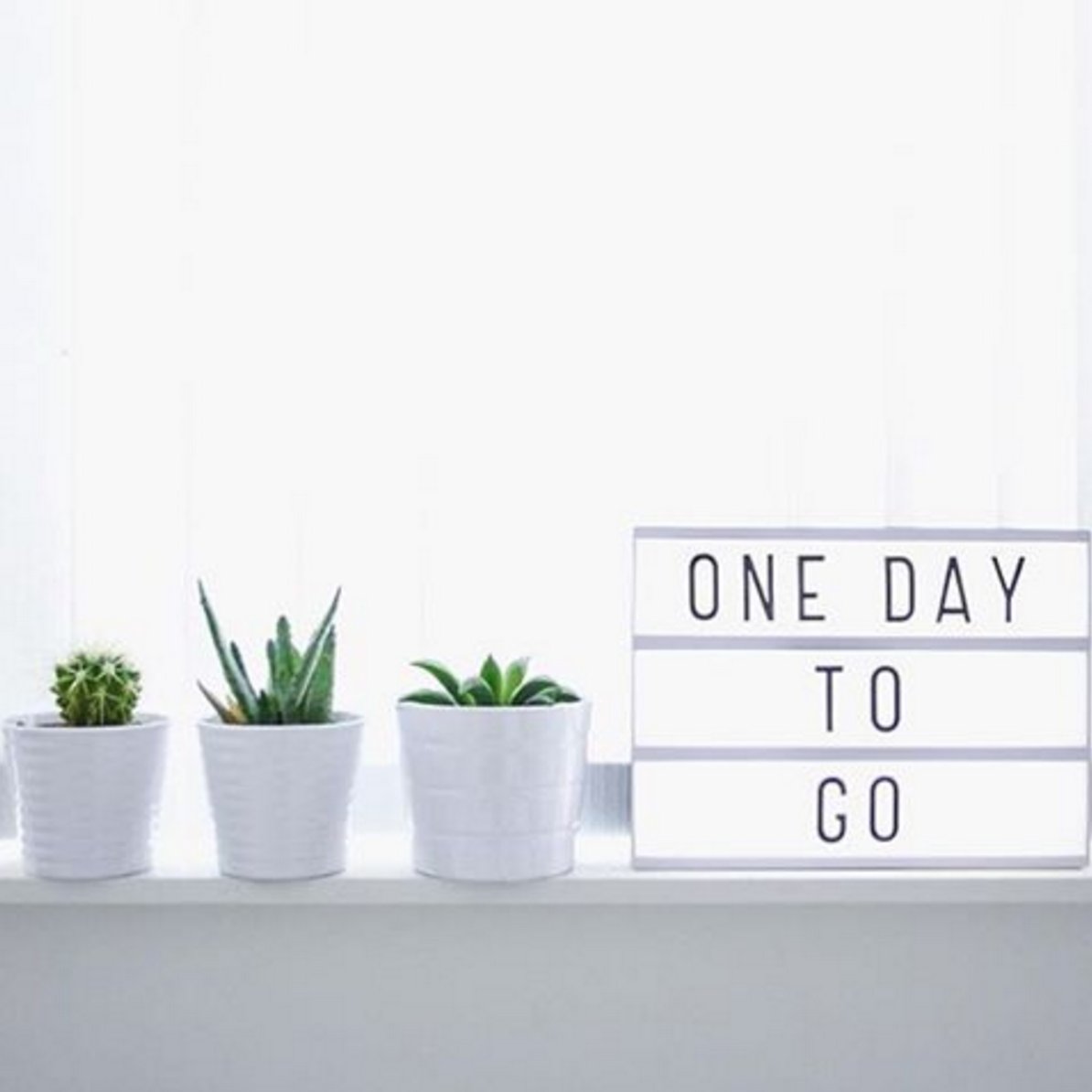 FallforLocal's tweet image. One day to go people!! #FallforlLocal Pop Up Market will be taking over The Pipe Shop tomorrow! @QuayProperties xo!