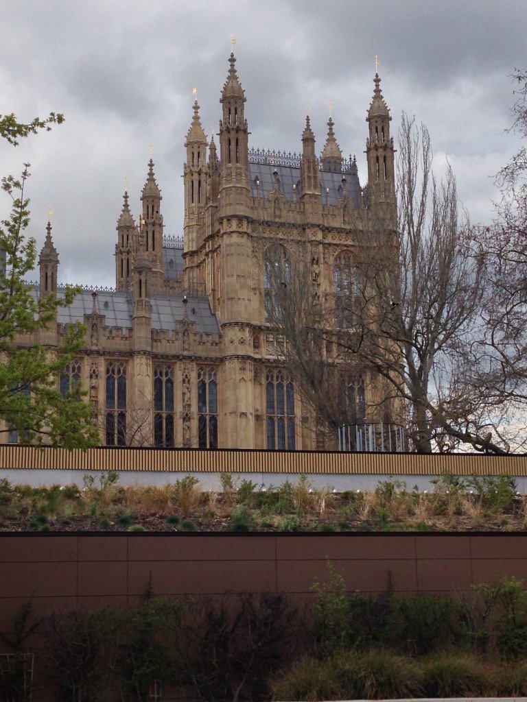 jdgardenscaping's tweet photo. Amazed to see a #greenroof adjacent to #housesofparliament in #London.   #ecofriendly #sustainability #Progressive https://t.co/jizs6owl3s