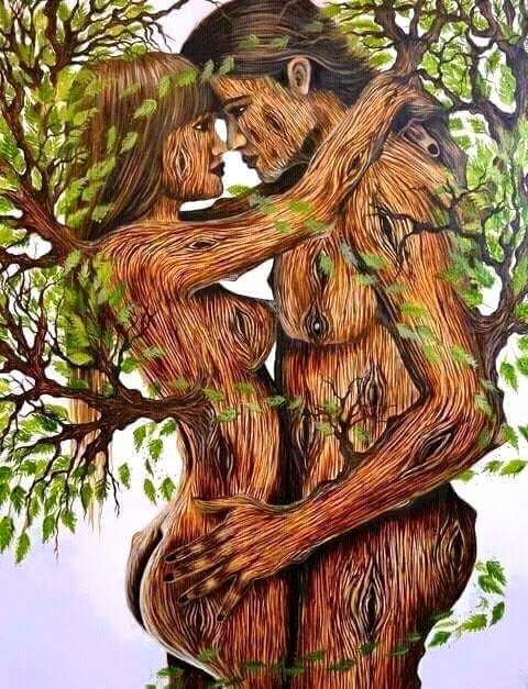 Fernelis18's tweet image. 