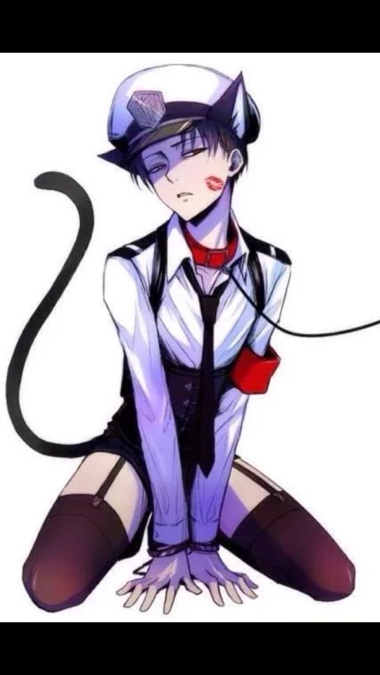 RavenAkerman's tweet image. What did I find