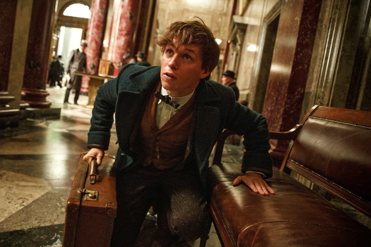 wizardingworld's tweet photo. From Helga Hufflepuff to Newt Scamander, remind yourself of the most iconic Hufflepuffs: https://t.co/JnAvrQ2n7H https://t.co/NHHyW91lcO