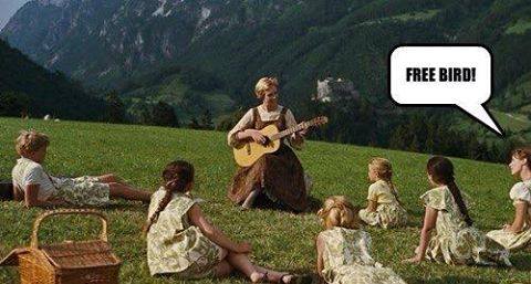 Fretclb's tweet photo. Or Wonderwall. π #guitarists #thestruggleisreal #nomorerequests #guitarproblems https://t.co/N3tPyEaZlR