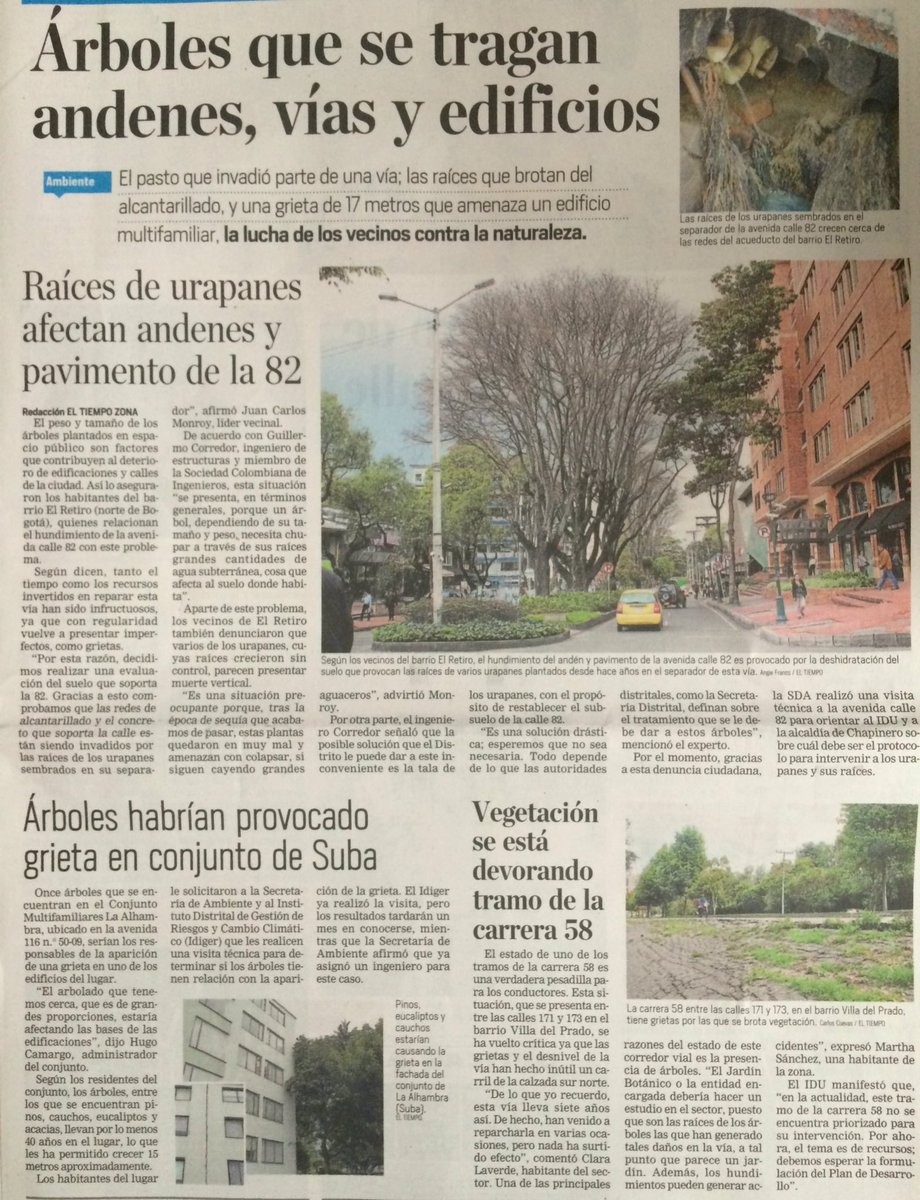 diana_rocio's tweet photo. En la #BogotaMejorParaTodos nos lamentamos por la crueldad de los individuos arbóreos contra el #pobreconcreto https://t.co/eCQlL1L7Nl