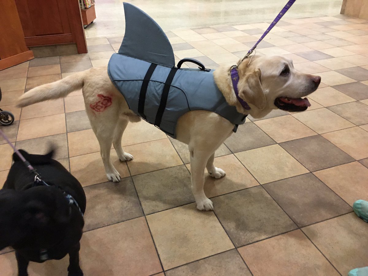 1582Petsmart's tweet photo. There's been a shark sighting!! 🌊🏄🏽🏖 @PetSmart @ray_rwest #springGearDemo https://t.co/029Zx4qVIS
