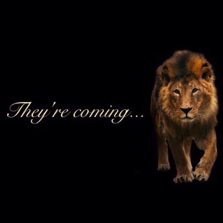 USF_DTL's tweet image. Oh did you think it was over? 😏 Search no longer, GREΔΤΛESS on the prowl #SPR16