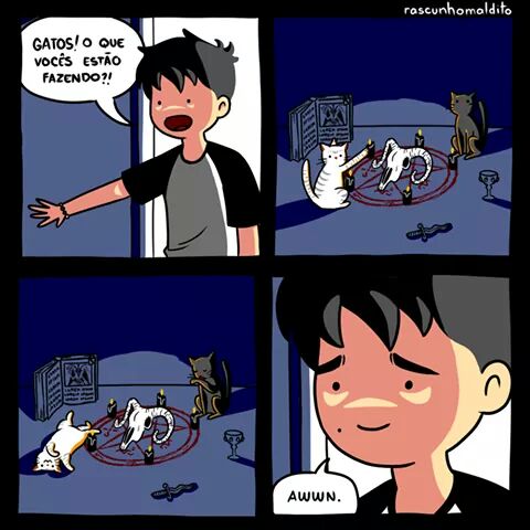 Kesia94317598's tweet photo. Aí vc acorda e ver os gatos fzd pactoo
#fofus https://t.co/bZwvaurz3B