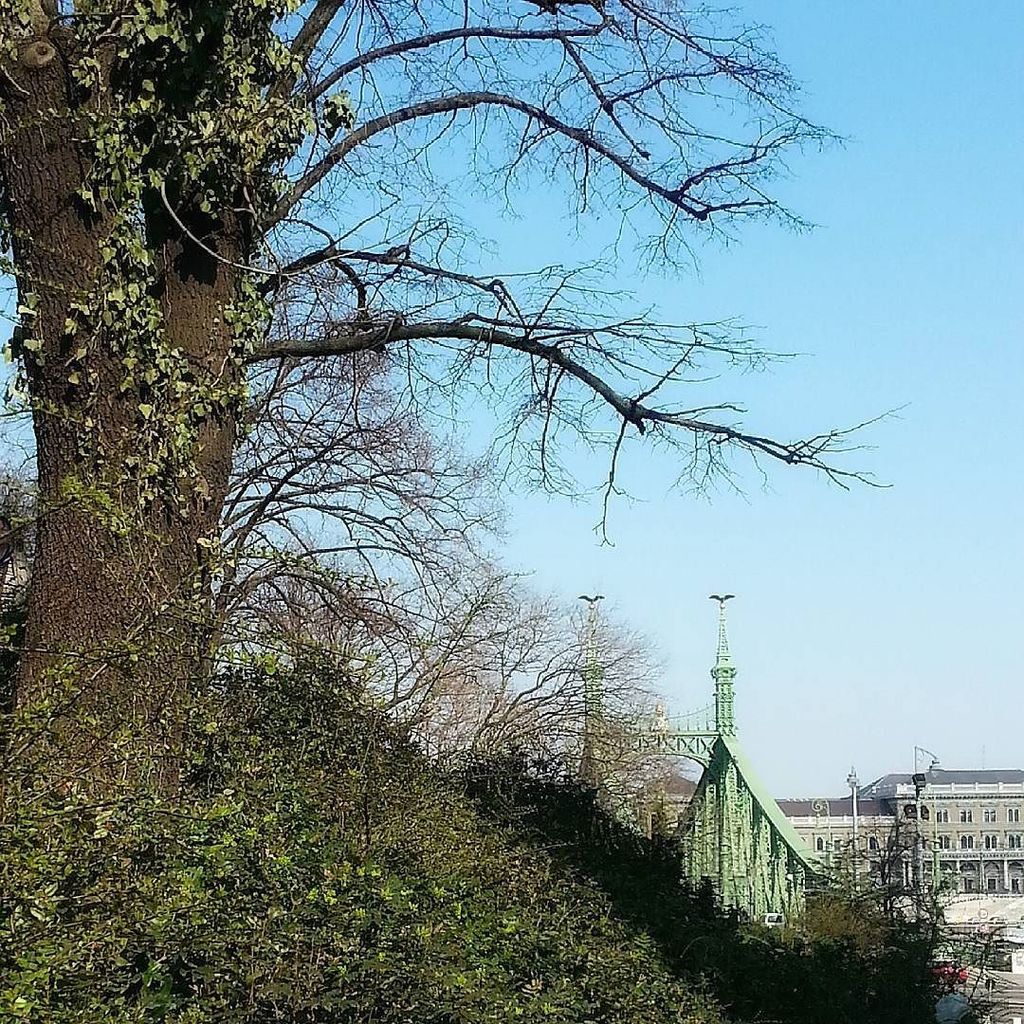 Worldliciouz's tweet photo. Spring had already arrived to #Budapest and the weather was just spoiling me. 🌞🌞 Oh hurry … https://t.co/hugaEfGVpP https://t.co/Wb9rgqjQ67