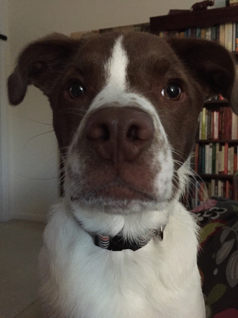 TCHagood's tweet photo. Advice from Franklin: #relax #saturdayishere #seriouslyletsplay https://t.co/lsipwR2RS8