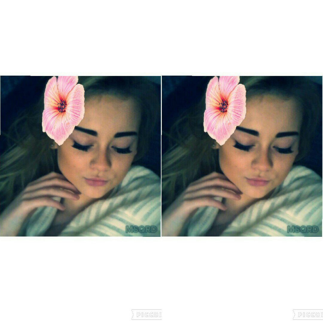 JessicaShreeve's tweet photo. Just a bit of posing going on 
#flowerkitty #posing https://t.co/eu93weeKxg