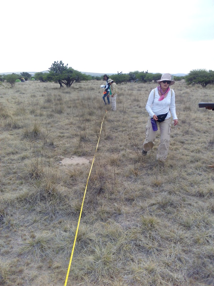 Robe_esquivel's tweet photo. @agorajavier  #practicadecampo #matorral_xerófilo #ecologia https://t.co/4FNN0P6x9t