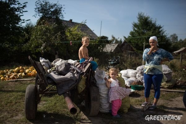 Greenpeace Canada tweet media