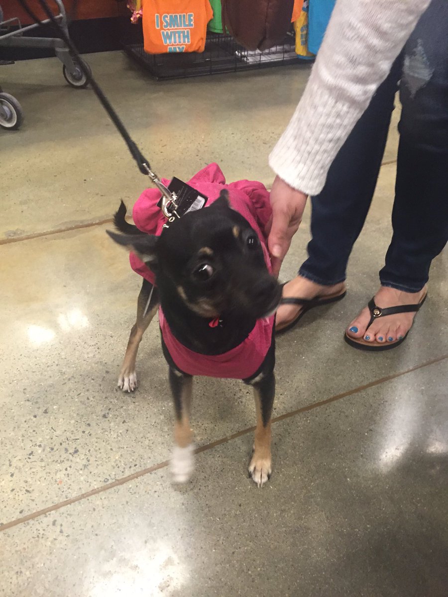 Aimee_Proctor's tweet photo. She's buying her outfit!  #springgeardemo #1029 #TeamNGA https://t.co/aBgBaAquEC