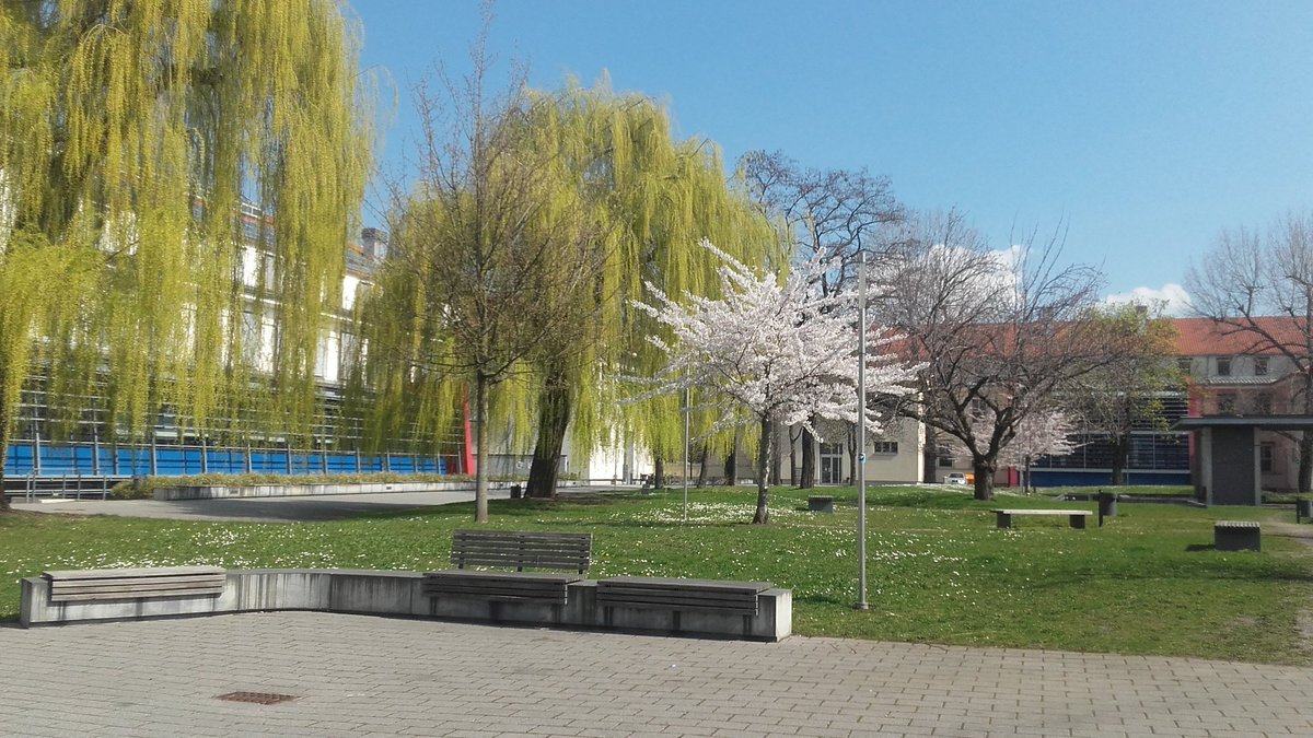 ndueben's tweet photo. Hello spring. 😍😚 https://t.co/oDPOfcLqTN