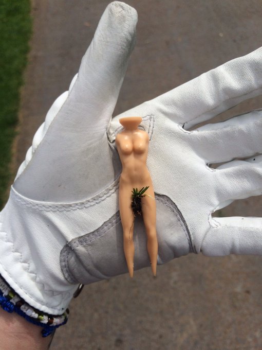 70's bush on this hoe! #camgirlsgolftee 💁🏼⛳️ https://t.co/XQKbYb8KTG<a href="/tag/camgirlsgolftee"class="tags">#camgirlsgolftee</a>