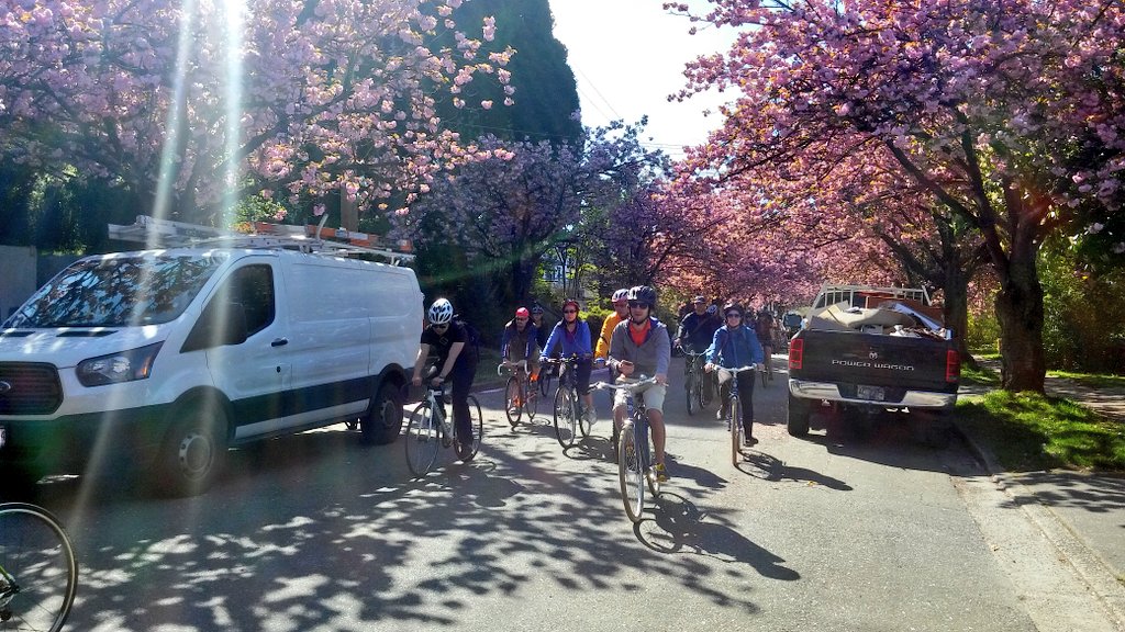 OfficialVCBF's tweet photo. 🚲 the 🌸 2016
#VCBF10 https://t.co/ZsIwwxghck