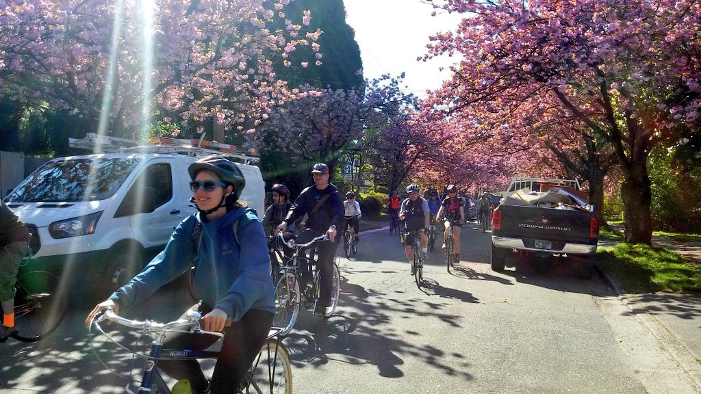 OfficialVCBF's tweet photo. 🚲 the 🌸 2016
#VCBF10 https://t.co/ZsIwwxghck
