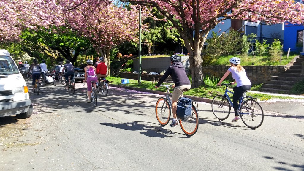 OfficialVCBF's tweet photo. 🚲 the 🌸 2016
#VCBF10 https://t.co/ZsIwwxghck