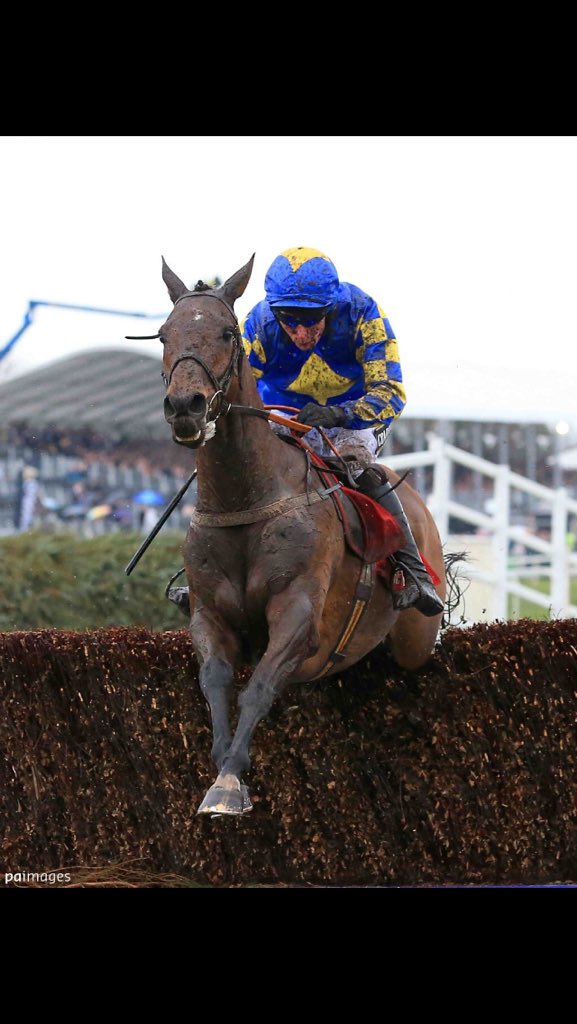 jaggriffin's tweet photo. Best day of my racing life. To saddle a winner on Grand National day. #Awesome #Unreal #Maggio https://t.co/aE2z2bx6rI