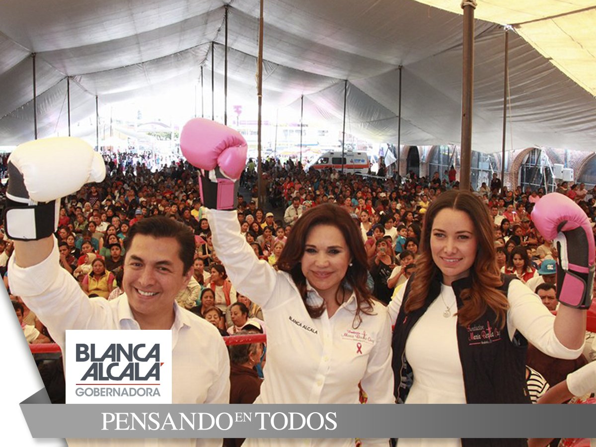 castillo_rosas tweet picture