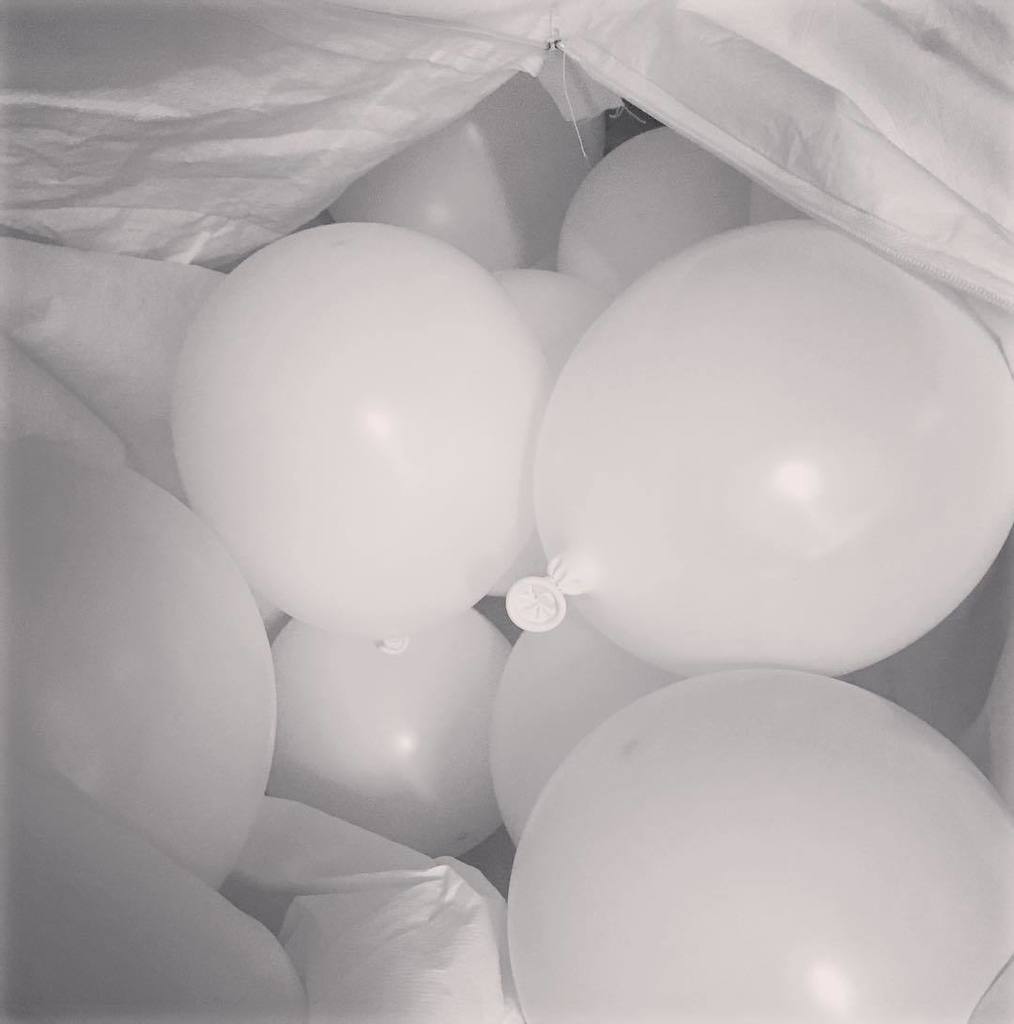 LilBitsyB's tweet photo. It's either my birthday... or I'm doing performance art tonight. #guesswhich #performancea… https://t.co/zf0ipzULtd https://t.co/zpP8V6kZSm