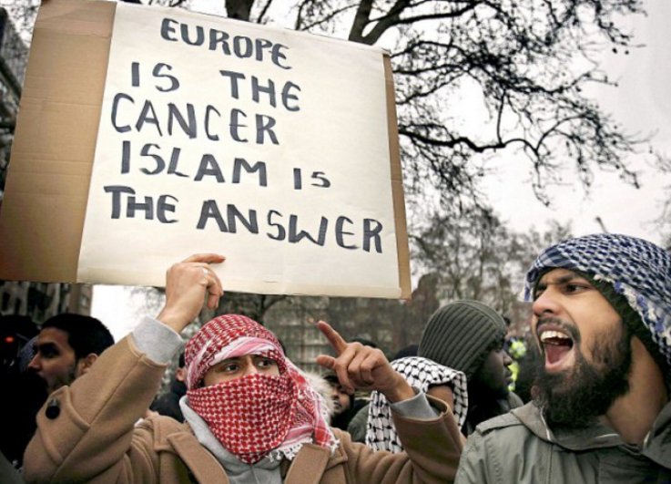 Image result for europe is the cancer islam is the answer