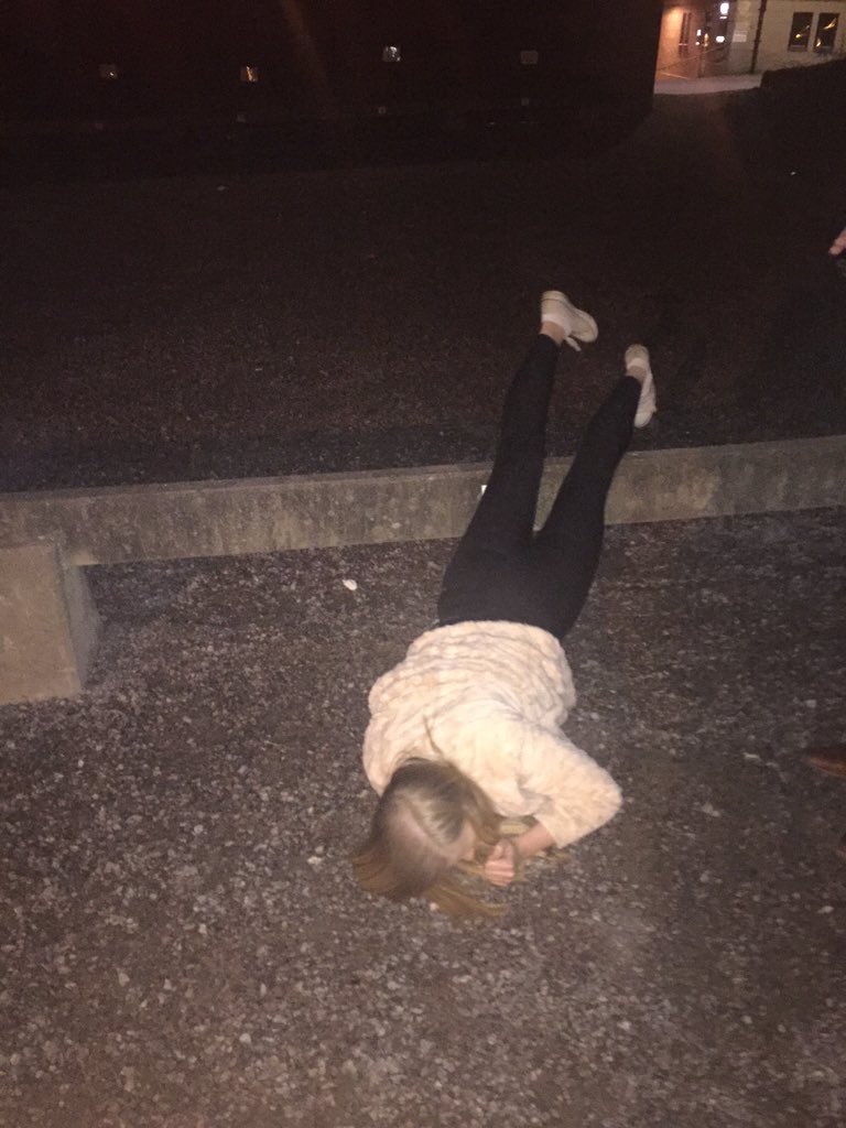 linnsis's tweet photo. Alicia höll på med telefonen och ramlade alltså över denna??? https://t.co/MFJv4dIvVs