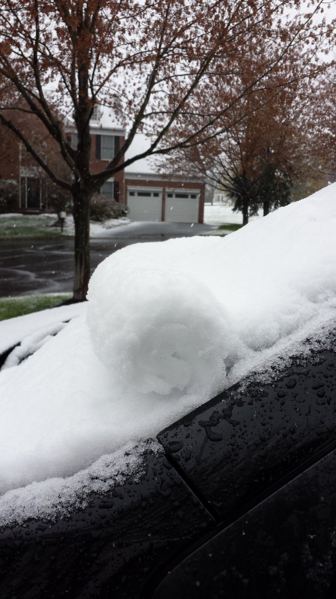 phellaini's tweet photo. Snow roller windshield #snowbest https://t.co/CDdqa1MIx0