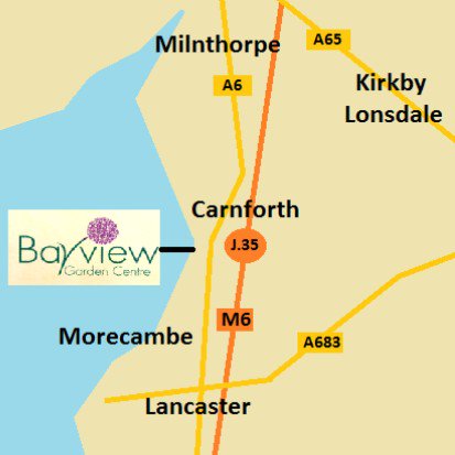BayViewGCCafe tweet media