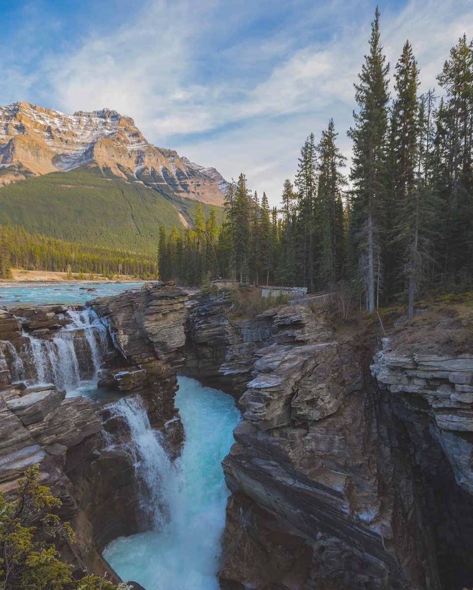 EarthPix's tweet photo. A gorgeous shot of Athabasca Falls, Jasper National Park, Canada | Photo by Stephen Valido (@stephenvalido on IG) https://t.co/xqSSz4lTlD