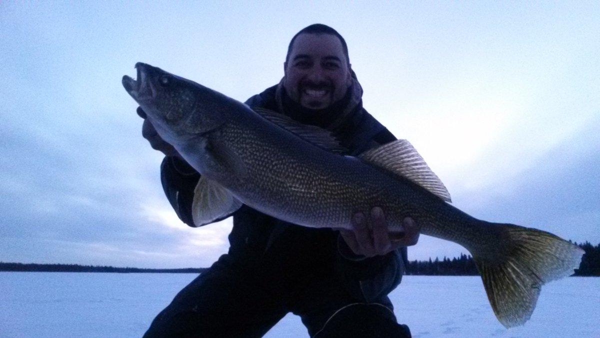 viking_lodge's tweet photo. Great late ice season walleyes!! What a week!
@viking_lodge #walleye #icefishing #masterangler #trophywalleye https://t.co/xK5WWiH1bH