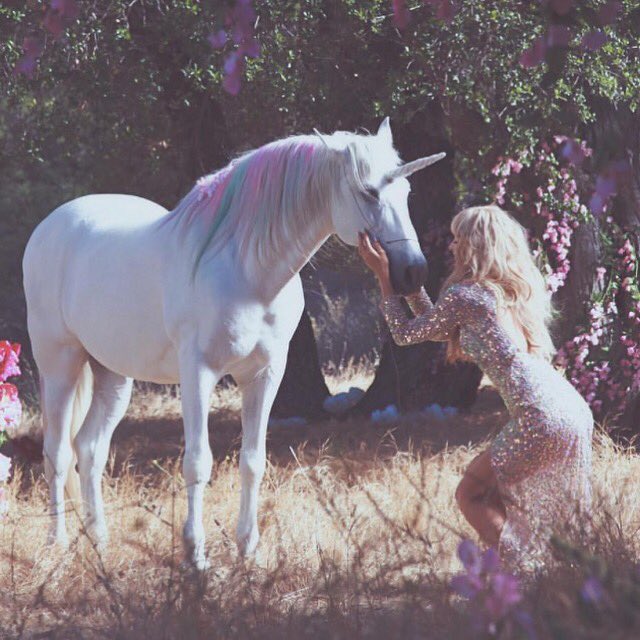 proxxyapp's tweet photo. Find your #unicorn on Proxxy! #app #tech #socialdiscovery https://t.co/j9VfeV5hVf