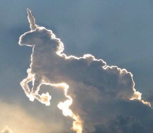 MusicMonkey's tweet photo. Today is #NationalUnicornDay. That means every day after this just doesn't matter. There is no beating this day. 🦄 https://t.co/osJUhZj1q9