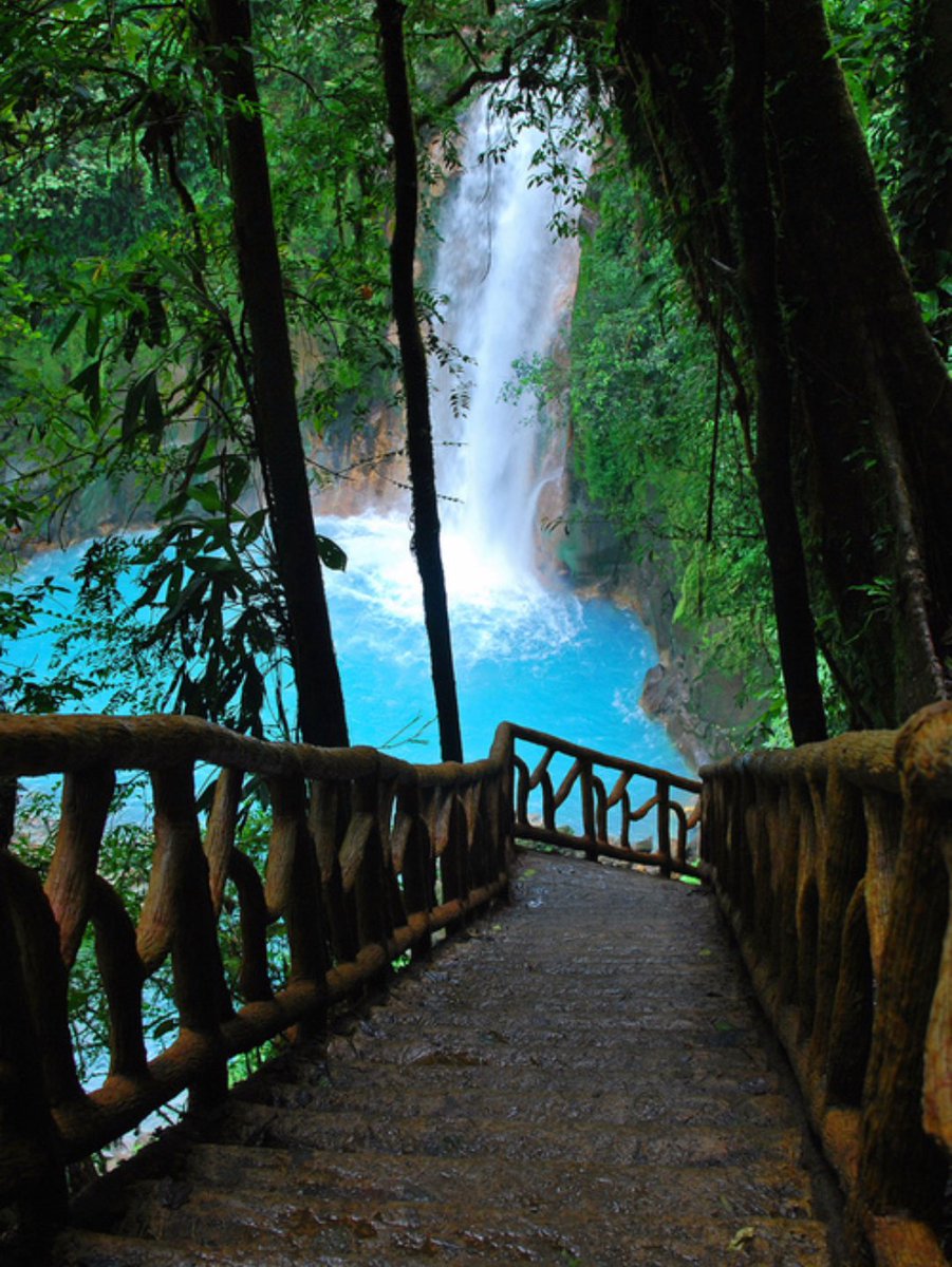 Adventurefull_'s tweet image. Costa Rica anyone ?🌴🌊👍