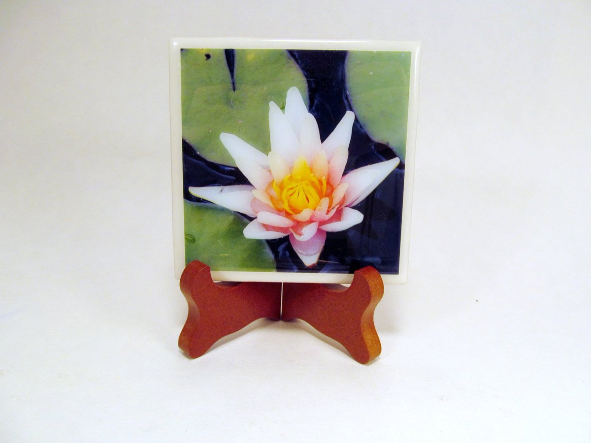 dovesclosetinc's tweet photo. Water Lily Handmade Photo Coaster FI132 https://t.co/q9K8U39RKw #PhotographyByRoger #HandcraftedCoaster https://t.co/JzeefGrVwz