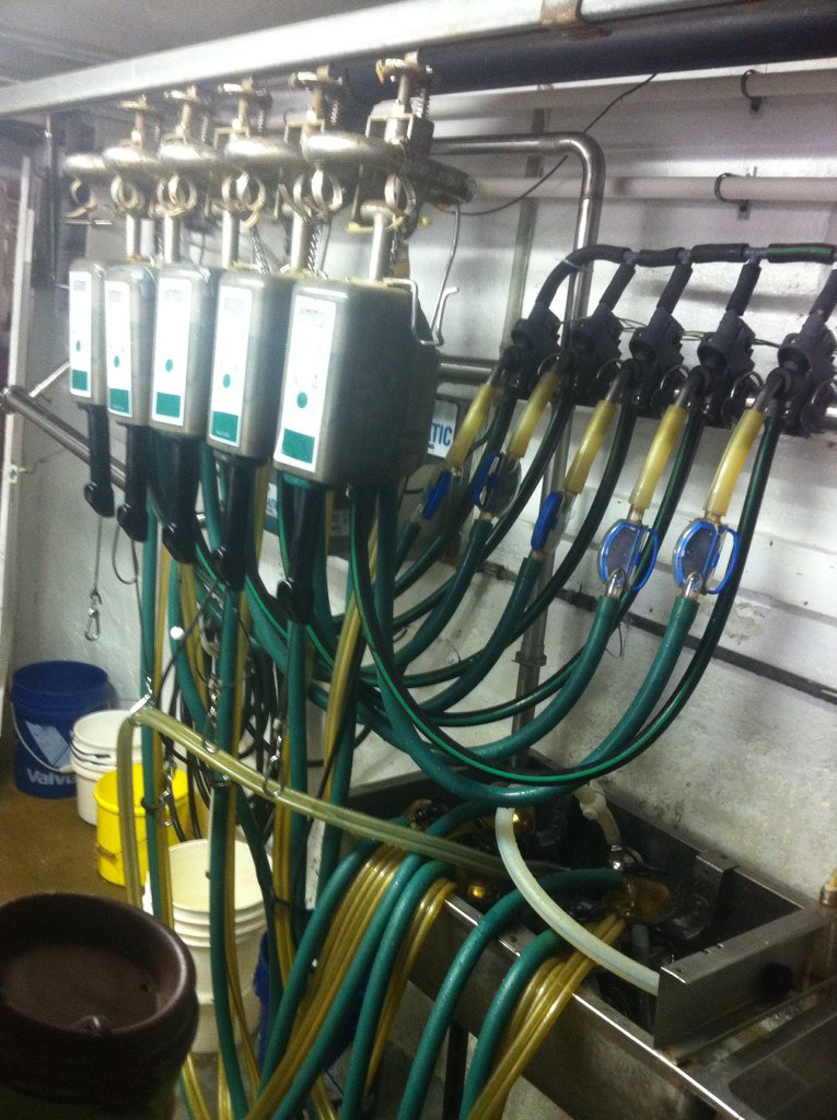 KlompenHolstein's tweet photo. Before and After! @Klumpy_for_life @NorwellDairy #DairyDoneWell https://t.co/miPeYRimdH