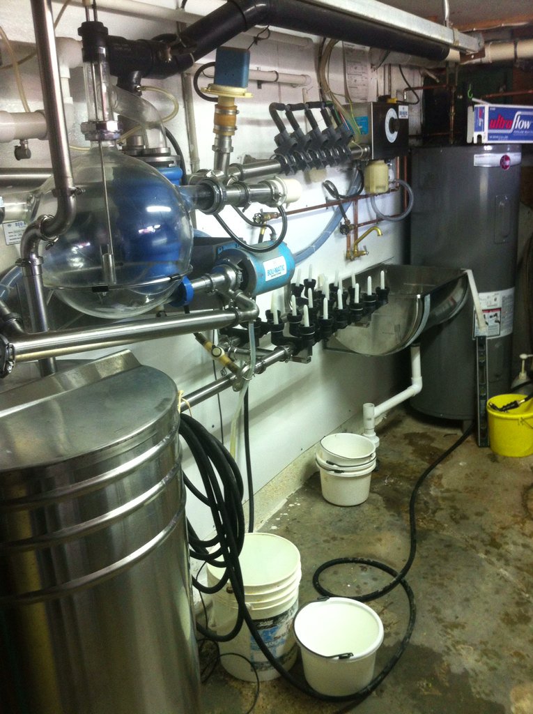 KlompenHolstein's tweet photo. Before and After! @Klumpy_for_life @NorwellDairy #DairyDoneWell https://t.co/miPeYRimdH
