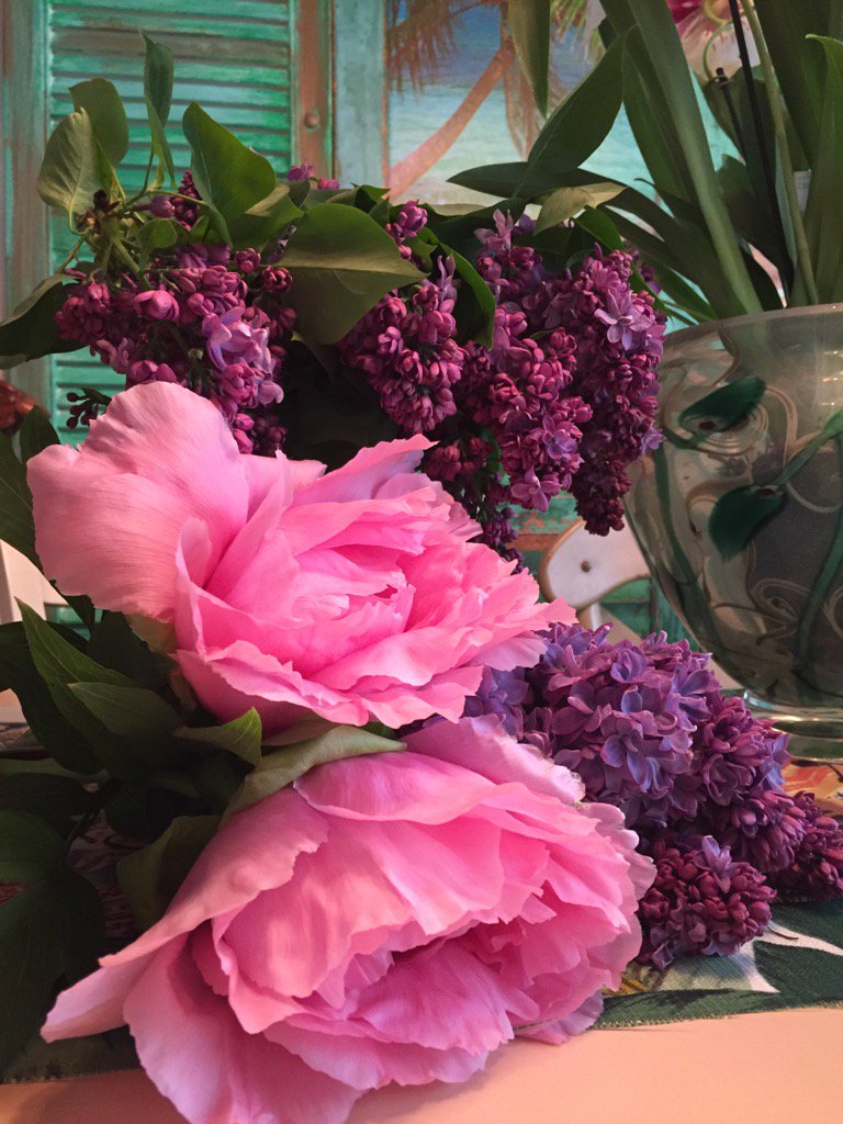 Today's gifts from the garden!